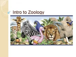 Intro to Zoology Zoology is the study of