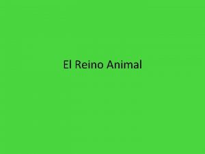 El Reino Animal Desde que el hombre existe