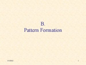 B Pattern Formation 112022 1 Differentiation Pattern Formation