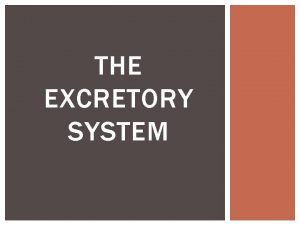 THE EXCRETORY SYSTEM WHAT IS EXCRETION Excretion The