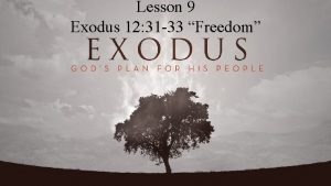 Lesson 9 Exodus 12 31 33 Freedom Exodus