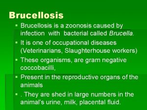 Brucellosis Brucellosis is a zoonosis caused by infection