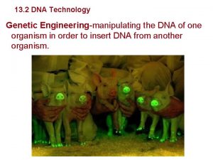 Genetics and Biotechnology 13 2 DNA Technology Genetic