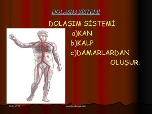 DOLAIM SSTEM aKAN bKALP cDAMARLARDAN OLUUR 12312021 www