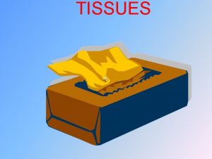 TISSUES Body Tissues Cells are specialized for particular