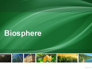 Biosphere Biosphere The Biosphere refers to all life