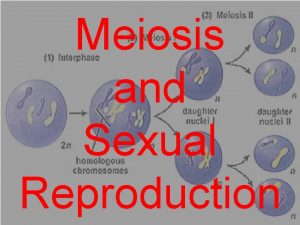 Meiosis and Sexual Reproduction Meiosis and Sexual Reproduction
