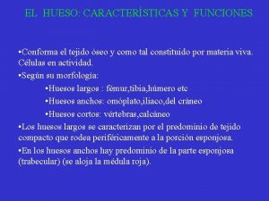 EL HUESO CARACTERSTICAS Y FUNCIONES Conforma el tejido