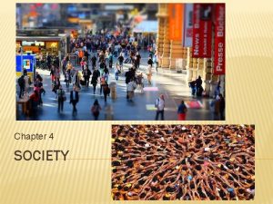 Chapter 4 SOCIETY WHAT IS SOCIETY Collection of