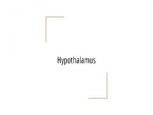 Hypothalamus The hypothalamus is a part of diencephalon