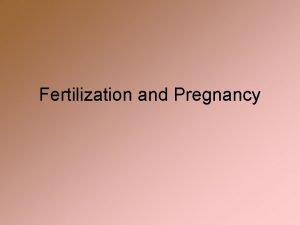 Fertilization and Pregnancy Structure of the Ovum Structure