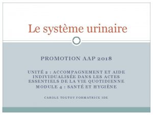 Le systme urinaire PROMOTION AAP 2018 UNIT 2