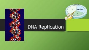 DNA Replication Double helix structure of DNA It