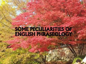 SOME PECULIARITIES OF ENGLISH PHRASEOLOGY English has got