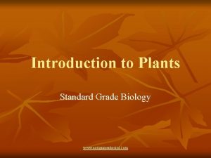 Introduction to Plants Standard Grade Biology www assignmentpoint