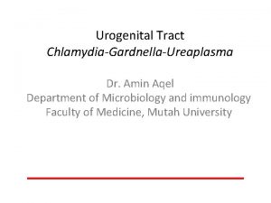 Urogenital Tract ChlamydiaGardnellaUreaplasma Dr Amin Aqel Department of