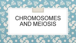 CHROMOSOMES AND MEIOSIS Chromosomes DNA coils around histones