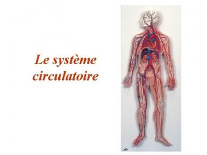 Le systme circulatoire Introduction Le systme circulatoire est
