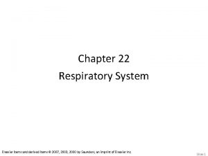 Chapter 22 Respiratory System Elsevier items and derived