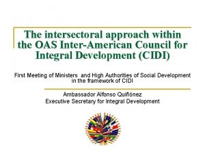 The intersectoral approach within the OAS InterAmerican Council