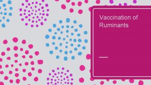 Vaccination of Ruminants Timing of Vaccines in Ruminants