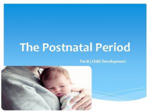 The Postnatal Period Pardi Child Development Bonding In