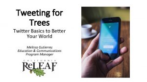 Tweeting for Trees Twitter Basics to Better Your