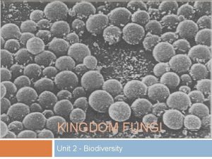 KINGDOM FUNGI Unit 2 Biodiversity Kingdom Fungi Eukaryotic