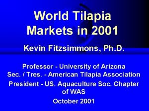 World Tilapia Markets in 2001 Kevin Fitzsimmons Ph