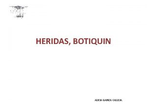 HERIDAS BOTIQUIN ALICIA GAINZA CALLEJA Botiqun Definicin Es