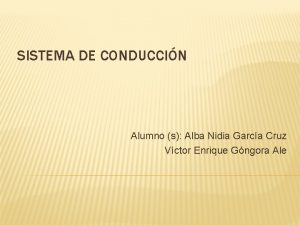 SISTEMA DE CONDUCCIN Alumno s Alba Nidia Garca
