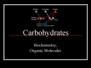 Carbohydrates Biochemistry Organic Molecules I Introduction A Organic