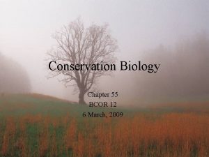 Conservation Biology Chapter 55 BCOR 12 6 March
