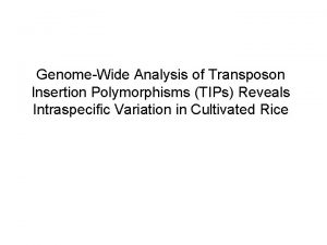 GenomeWide Analysis of Transposon Insertion Polymorphisms TIPs Reveals