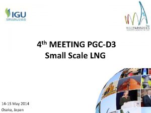 4 th MEETING PGCD 3 Small Scale LNG