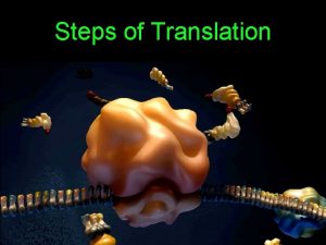 Steps of Translation Learning Objectives Describe the steps