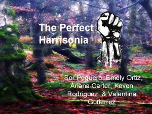 The Perfect Harrisonia Sor Peguero Emely Ortiz Ariana