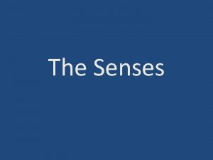 The Senses Sensory Receptors Sensory receptors neurons that