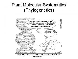 Plant Molecular Systematics Phylogenetics Systematics classifies species based