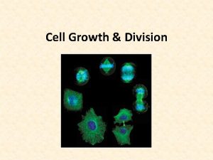 Cell Growth Division Do cells grow Yes but