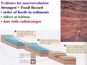 Evidence for macroevolution Strongest Fossil Record order of