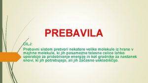 PREBAVILA CILJ Prebavni sistem pretvori nekatere velike molekule