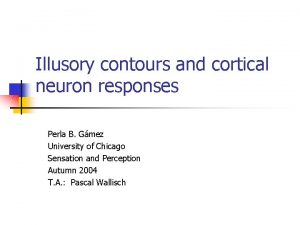 Illusory contours and cortical neuron responses Perla B