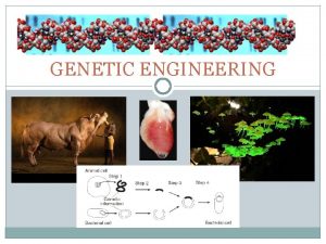 GENETIC ENGINEERING Is genetic engineering an old technology