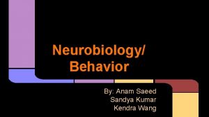 Neurobiology Behavior By Anam Saeed Sandya Kumar Kendra