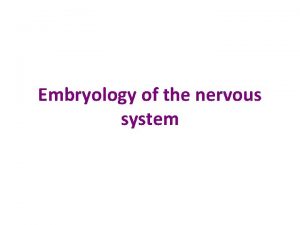 Embryology of the nervous system Major divisions of