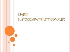 MAJOR HISTOCOMPATIBILITY COMPLEX MAJOR HISTOCOMPATIBILITY COMPLEX MHC Is
