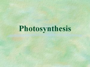 Photosynthesis A Introduction 1 Location chloroplasts in plants