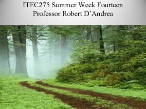 ITEC 275 Summer Week Fourteen Professor Robert DAndrea