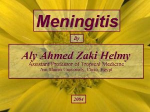Meningitis By Aly Ahmed Zaki Helmy Assistant Professor